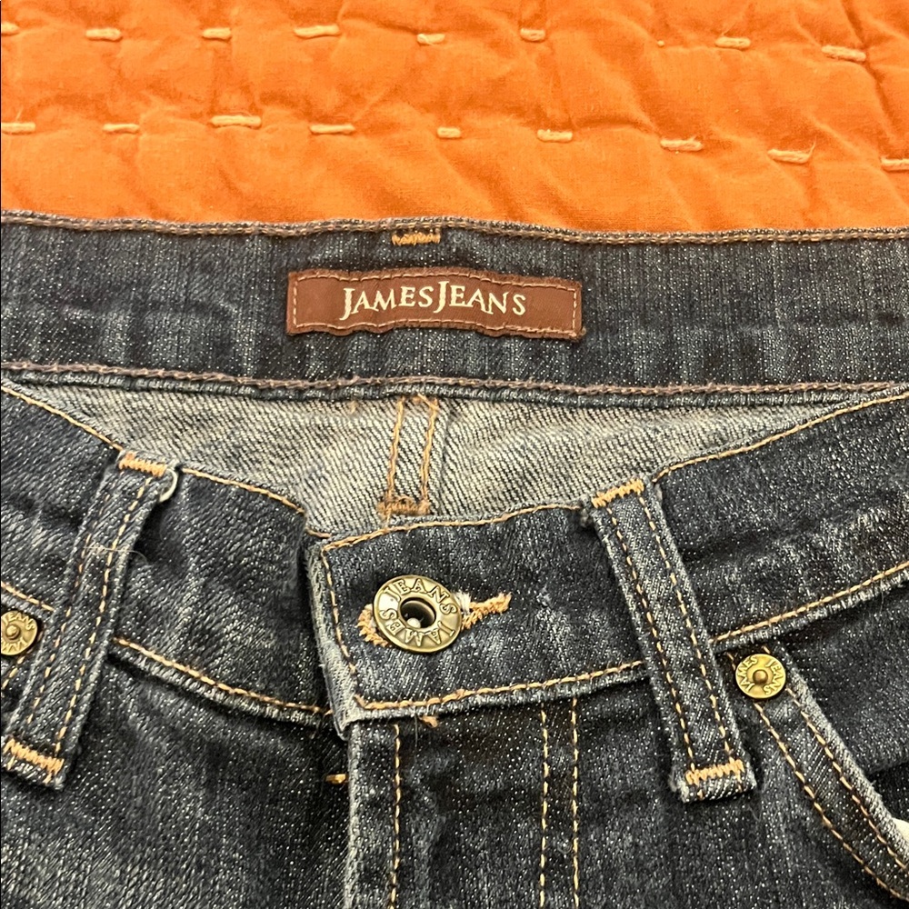 James Jeans Indigo Denim with Contrast Stitching